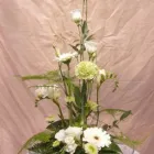 Yrityksen 3 kuva KUKKATARHA KOSKINEN OY Kukkien vähittäiskauppa  Lahti 16