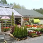 Yrityksen 4 kuva KUKKATARHA KOSKINEN OY Kukkien vähittäiskauppa  Lahti 16