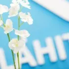 Yrityksen 1 kuva LÄHITAPIOLA LOIMI-HÄME, LEMPÄÄLÄ IDEAPARK  Lempäälä 11
