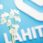 Yrityksen 1 kuva LÄHITAPIOLA VARSINAIS-SUOMI, TURKU ITÄHARJU PRISMA  Turku 19