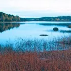 Yrityksen 3 kuva LUUMÄEN KUNTA  Taavetti 02