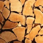 Yrityksen 1 kuva M & M VIKSTRÖM OY Metsänhoito  Oulu 14