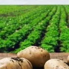 Yrityksen 1 kuva MAA- JA METSÄTALOUSMINISTERIÖ (MMM)  Helsinki 18