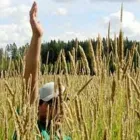 Yrityksen 2 kuva MAA- JA METSÄTALOUSMINISTERIÖ (MMM)  Helsinki 18