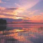 Yrityksen 3 kuva MAJ JA TOR NESSLINGIN SÄÄTIÖ Tutkimusta ja kulttuuria palvelevat järjestöt  Helsinki 18