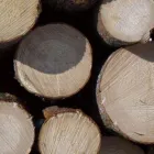 Yrityksen 2 kuva METSÄ GROUP KUOPION PIIRITOIMISTO Puun sahaus, höyläys ja kyllästys  Kuopio 15