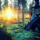 Yrityksen 2 kuva METSÄKONEURAKOINTI PERTTUNEN OY Puunkorjuu  Oulu 14