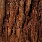 Yrityksen 1 kuva METSÄNHOITOYHDISTYS LOUNAMETSÄ RY Metsätaloutta palveleva toiminta  Turku 19