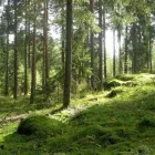 Yrityksen 1 kuva METSÄNHOITOYHDISTYS POHJOIS-PIRKKA RY TEISKO  Terälahti 11