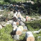Yrityksen 1 kuva METSÄTYÖ RIITTINEN Puunkorjuu  Otava 04