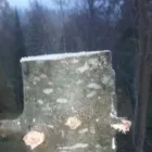 Yrityksen 2 kuva METSÄTYÖ RIITTINEN Puunkorjuu  Otava 04