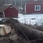 Yrityksen 3 kuva METSÄTYÖ RIITTINEN Puunkorjuu  Otava 04