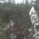 Yrityksen 4 kuva METSÄTYÖ RIITTINEN Puunkorjuu  Otava 04