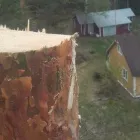 Yrityksen 5 kuva METSÄTYÖ RIITTINEN Puunkorjuu  Otava 04