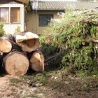 Yrityksen 8 kuva METSÄTYÖ RIITTINEN Puunkorjuu  Otava 04