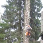 Yrityksen 9 kuva METSÄTYÖ RIITTINEN Puunkorjuu  Otava 04