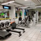 Yrityksen 1 kuva MYYRBODY OY  Vantaa 18