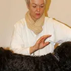 Yrityksen 6 kuva NAPRAKA - NAPRAPAATTI KATJA LIND Muu terveyspalvelu  Kangasala 11