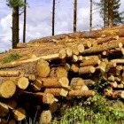 Yrityksen 2 kuva NEVALA I & J OY Puunkorjuu  Kuusamo 14