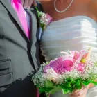 Yrityksen 1 kuva OMPELIMO NEULANSILMÄ Muu takkien, pukujen, housujen, hameiden yms. valmistus  Lahti 16