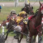 Yrityksen 6 kuva OMPELIMO VINKKA Muu takkien, pukujen, housujen, hameiden yms. valmistus  Lahti 16