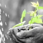 Yrityksen 1 kuva OPETUS-, KASVATUS- JA KOULUTUSALOJEN SÄÄTIÖ - OKKA-SÄÄTIÖ SR Tutkimusta ja kulttuuria palvelevat järjestöt  Helsinki 18