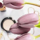 Yrityksen 3 kuva OULUN KOSMETOLOGIKOULU Kauneudenhoitopalvelut  Oulu 14