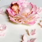 Yrityksen 6 kuva PAAKARI PUUSTI  Hyvinkää 18