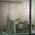 Yrityksen 3 kuva PÄÄSKY KUKKA- JA HAUTAUSPALVELU Hautaustoimistojen palvelut  Kajaani 05