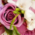 Yrityksen 4 kuva PÄÄSKY KUKKA- JA HAUTAUSPALVELU Hautaustoimistojen palvelut  Kajaani 05