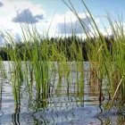 Yrityksen 4 kuva PÄIJÄNTEEN LEHTI  Lahti 16