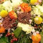 Yrityksen 1 kuva PAKILAN KUKKATALO Puutarha-alan vähittäiskauppa  Helsinki 18