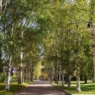 Yrityksen 2 kuva PIHASADE OY Maisemanhoitopalvelut  Espoo 18