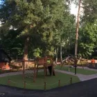 Yrityksen 1 kuva PIHASUUNNITTELU EEVA BLOMBERG Yhdyskuntasuunnittelu  Lahti 16