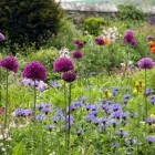 Yrityksen 2 kuva PIHASUUNNITTELU EEVA BLOMBERG Yhdyskuntasuunnittelu  Lahti 16