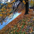 Yrityksen 3 kuva PIHASUUNNITTELU EEVA BLOMBERG Yhdyskuntasuunnittelu  Lahti 16