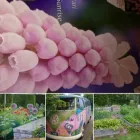 Yrityksen 4 kuva PIHASUUNNITTELU EEVA BLOMBERG Yhdyskuntasuunnittelu  Lahti 16