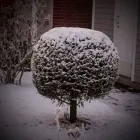 Yrityksen 6 kuva PIHASUUNNITTELU EEVA BLOMBERG Yhdyskuntasuunnittelu  Lahti 16