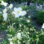 Yrityksen 8 kuva PIHASUUNNITTELU EEVA BLOMBERG Yhdyskuntasuunnittelu  Lahti 16