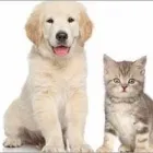 Yrityksen 2 kuva POHJANTÄHTI KESKINÄINEN VAKUUTUSYHTIÖ TURKU Vahinkovakuutusyhtiöt  Turku 19