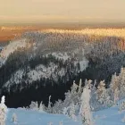 Yrityksen 3 kuva PROLOMA OY KUUSAMON JA RUKAN MAJOITUSPALVELUT Varauspalvelut, matkaoppaiden palvelut ym.  Kuusamo 14