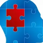 Yrityksen 2 kuva PSYCHOMEDICAL CONSULTATION MTT OY  Hämeenlinna 06