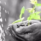 Yrityksen 1 kuva PSYKOTERAPEUTTI TAPIO SALO Varsinaiset sairaalapalvelut  Oulu 14