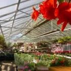 Yrityksen 1 kuva PUUTARHA MERITÄHTI Puutarha-alan vähittäiskauppa  Oulu 14