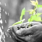 Yrityksen 1 kuva RAISION PSYKOLOGIPALVELU PÄIVIKKI NURMI Lääkäriasemat, yksityislääkärit ja vastaavat erikoislääkäripalvelut  Raisio 19