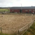 Yrityksen 6 kuva RAITTILAN MAATILA  Luopajärvi 03