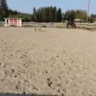 Yrityksen 7 kuva RAITTILAN MAATILA  Luopajärvi 03
