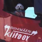 Yrityksen 3 kuva RIIHIMÄENKIITO OY Tieliikenteen tavarankuljetus  Riihimäki 06