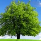 Yrityksen 2 kuva SANDENMASTER  Espoo 18