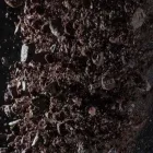 Yrityksen 5 kuva SEEPSULA OY Soran, hiekan, saven ja kaoliinin otto  Tuusula 18